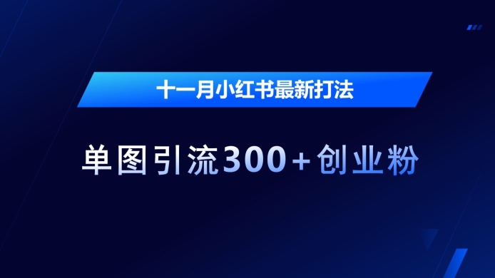 十一月小红书最新打法，单图引流300+创业粉_网络创业-网赚项目-副业赚钱-信息差项目-互联网创业-资源整合-创业资讯-最新网赚课程金铲子项目