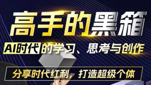 高手的黑箱：AI时代学习、思考与创作-分红时代红利，打造超级个体_网络创业-网赚项目-副业赚钱-信息差项目-互联网创业-资源整合-创业资讯-最新网赚课程金铲子项目