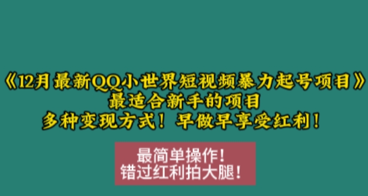 12月最新QQ小世界短视频暴力起号项目，最适合新手的项目，多种变现方式_网络创业-网赚项目-副业赚钱-信息差项目-互联网创业-资源整合-创业资讯-最新网赚课程金铲子项目