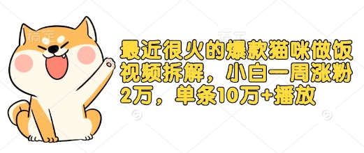 最近很火的爆款猫咪做饭视频拆解，小白一周涨粉2万，单条10万+播放(附保姆级教程)_网络创业-网赚项目-副业赚钱-信息差项目-互联网创业-资源整合-创业资讯-最新网赚课程金铲子项目