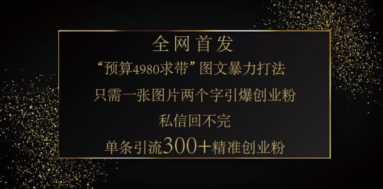 小红书神奇图片引流法，只需一张图，就能单条笔记凭借此方法，轻松引流 300 + 精准创业粉_网络创业-网赚项目-副业赚钱-信息差项目-互联网创业-资源整合-创业资讯-最新网赚课程金铲子项目