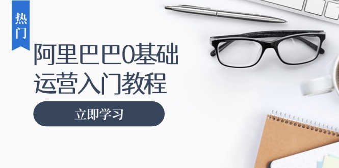 （13291期）阿里巴巴运营零基础入门教程：涵盖开店、运营、推广，快速成为电商高手_网络创业-网赚项目-副业赚钱-信息差项目-互联网创业-资源整合-创业资讯-最新网赚课程金铲子项目