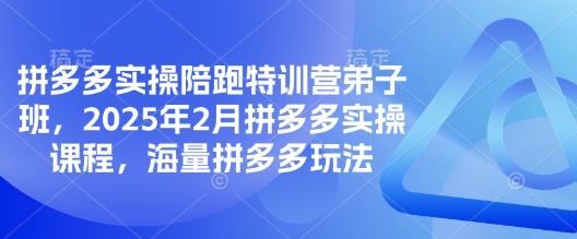 拼多多实操陪跑特训营弟子班，2025年2月拼多多实操课程，海量拼多多玩法_网络创业-网赚项目-副业赚钱-信息差项目-互联网创业-资源整合-创业资讯-最新网赚课程金铲子项目