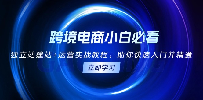 （13503期）跨境电商小白必看！独立站建站+运营实战教程，助你快速入门并精通_网络创业-网赚项目-副业赚钱-信息差项目-互联网创业-资源整合-创业资讯-最新网赚课程金铲子项目