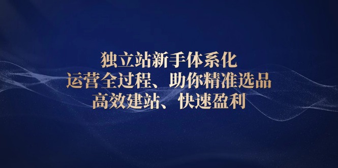 （13914期）独立站新手体系化 运营全过程，助你精准选品、高效建站、快速盈利_网络创业-网赚项目-副业赚钱-信息差项目-互联网创业-资源整合-创业资讯-最新网赚课程金铲子项目