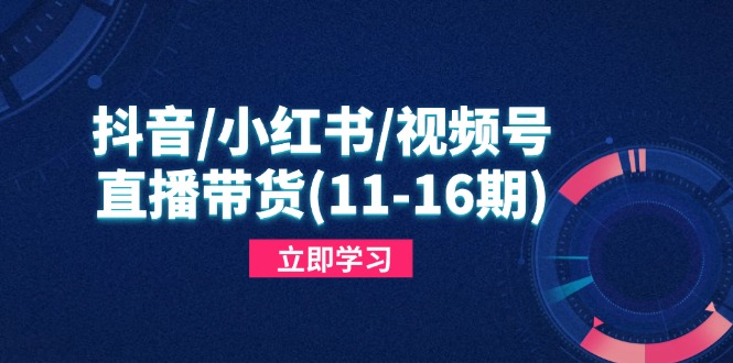 （14611期）抖音/小红书/视频号/直播带货（11-16期），快速掌握平台规则，打造爆款内容_网络创业-网赚项目-副业赚钱-信息差项目-互联网创业-资源整合-创业资讯-最新网赚课程金铲子项目
