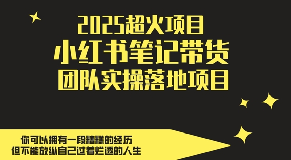 2025超火项目，副业最佳选择，小红书笔记带货团队实操落地项目，，轻松日入5张_网络创业-网赚项目-副业赚钱-信息差项目-互联网创业-资源整合-创业资讯-最新网赚课程金铲子项目