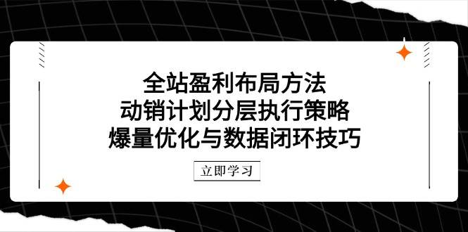 全站盈利布局方法：动销计划分层执行策略，爆量优化与数据闭环技巧_网络创业-网赚项目-副业赚钱-信息差项目-互联网创业-资源整合-创业资讯-最新网赚课程金铲子项目