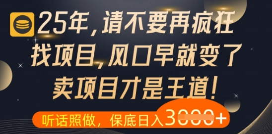 什么？25年你还在疯狂找项目做，醒醒吧，看完这些你全都懂了_网络创业-网赚项目-副业赚钱-信息差项目-互联网创业-资源整合-创业资讯-最新网赚课程金铲子项目