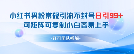 小红书男粉常规引流不封号日引99+变现简单 可矩阵可复制小白容易上手_网络创业-网赚项目-副业赚钱-信息差项目-互联网创业-资源整合-创业资讯-最新网赚课程金铲子项目