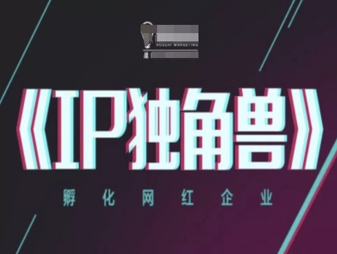 IP独角兽，孵化网红企业，ip教程_网络创业-网赚项目-副业赚钱-信息差项目-互联网创业-资源整合-创业资讯-最新网赚课程金铲子项目