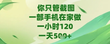 你只管截图，一部手机在家做，苹果安卓都可以，一天5张+_网络创业-网赚项目-副业赚钱-信息差项目-互联网创业-资源整合-创业资讯-最新网赚课程金铲子项目