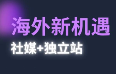 2025出海新机遇(社媒+独立站)，海外新机遇，实现独立站的高效运营与出海_网络创业-网赚项目-副业赚钱-信息差项目-互联网创业-资源整合-创业资讯-最新网赚课程金铲子项目