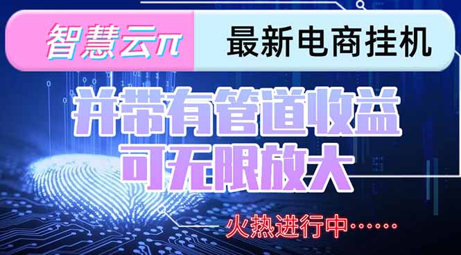 (15314期)智慧云π电脑挂机单机每天并带有团队管道可无限放大_免费分享网络创业,副业,信息差项目的老牌资源整合平台!金铲子项目