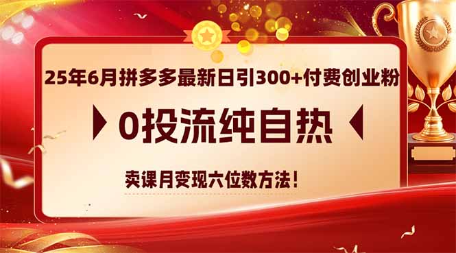 （14989期）25年6月拼多多最新日引付费创业粉，0投流纯自热卖课月六位数方法_免费分享网络创业,副业,信息差项目的老牌资源整合平台！金铲子项目