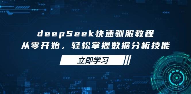 deepSeek快速驯服教程，从零开始，掌握数据分析技能_免费分享网络创业,副业,信息差项目的老牌资源整合平台！金铲子项目