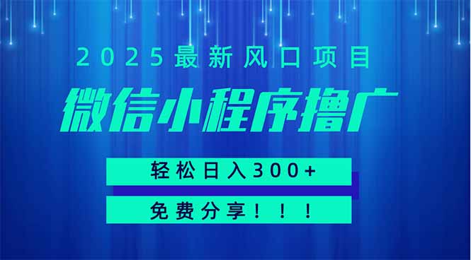 （14375期）微信小程序撸广，最新风口项目，免费分享可批量操作小白可…_免费分享网络创业,副业,信息差项目的老牌资源整合平台！金铲子项目