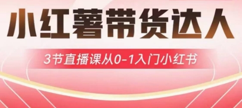 小红薯达人带货启航计划，3节直播课从0-1入门小红书_免费分享网络创业,副业,信息差项目的老牌资源整合平台！金铲子项目