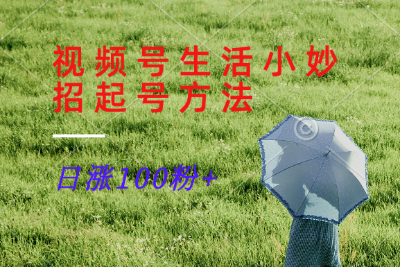 视频号生活小妙招分享赛道，起号涨粉新方法，日涨100粉_免费分享网络创业,副业,信息差项目的老牌资源整合平台！金铲子项目