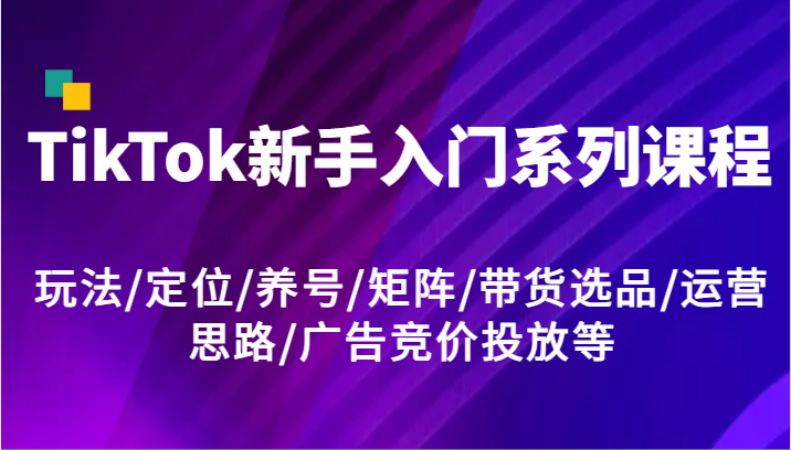 TikTok新手入门系列课程，玩法/定位/养号/矩阵/带货选品/运营思路/广告竞价投放等_免费分享网络创业,副业,信息差项目的老牌资源整合平台！金铲子项目