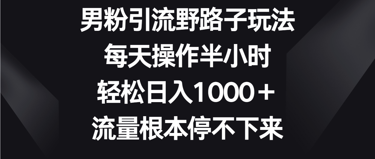男粉引流野路子玩法，每天操作半小时，流量根本停不下来_免费分享网络创业,副业,信息差项目的老牌资源整合平台！金铲子项目