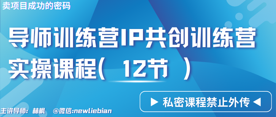 导师训练营3.0IP共创训练营私密实操课程（12节）-卖项目的密码成功秘诀_免费分享网络创业,副业,信息差项目的老牌资源整合平台！金铲子项目