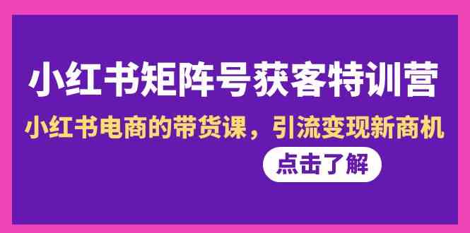 小红书矩阵号获客特训营-第10期，小红书电商的带货课，引流新商机_免费分享网络创业,副业,信息差项目的老牌资源整合平台！金铲子项目