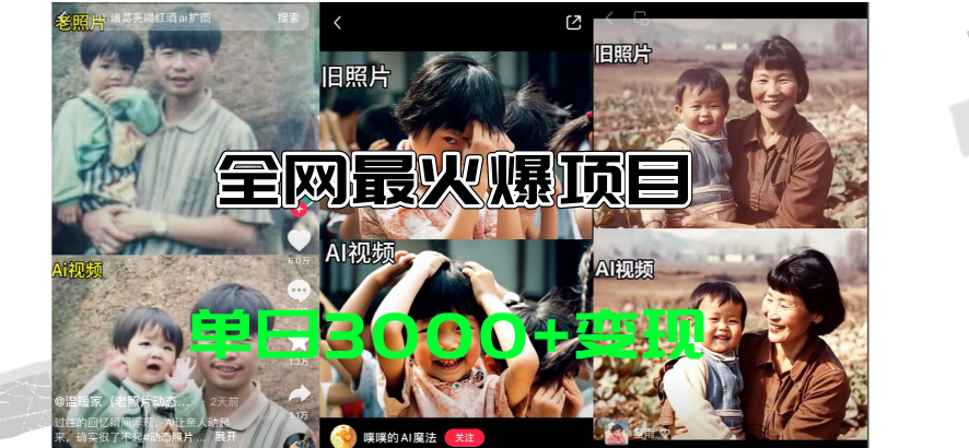 （11546期）全网爆火的AI让老照片动起来教程，蹭热点0，内含免费工具一键…_免费分享网络创业,副业,信息差项目的老牌资源整合平台！金铲子项目