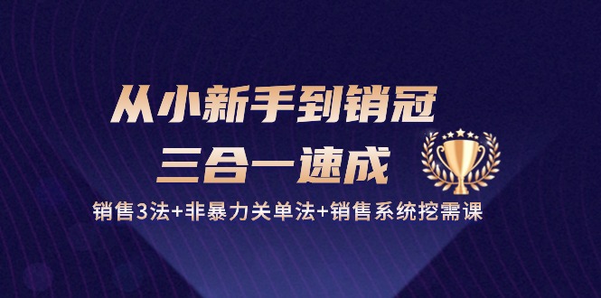 （10799期）从小新手到销冠三合一速成：销售3法非暴力关单法销售系统挖需课(27节)_免费分享网络创业,副业,信息差项目的老牌资源整合平台！金铲子项目
