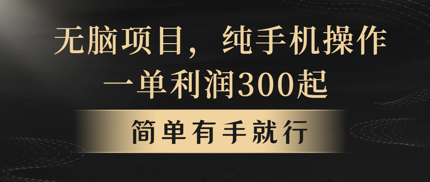 (10699期)无脑项目,一单看完就能直接操作_免费分享网络创业,副业,信息差项目的老牌资源整合平台!金铲子项目