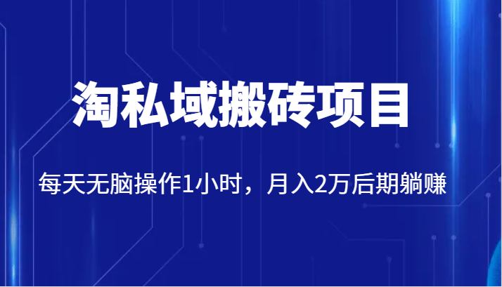 价值2980的淘私域搬砖项目，每天无脑操作1小时，2万后期躺赚_免费分享网络创业,副业,信息差项目的老牌资源整合平台！金铲子项目
