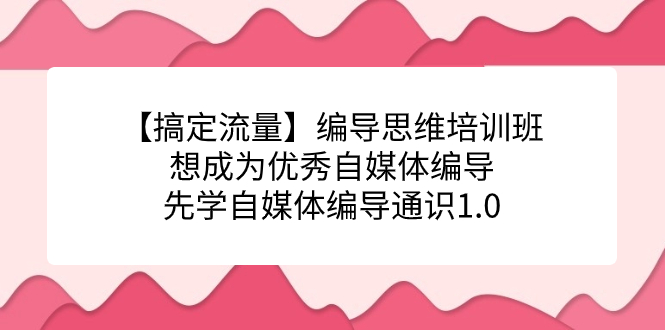 【搞定流量】编导思维培训班，想成为优秀自媒体编导先学自媒体编导通识1.0_免费分享网络创业,副业,信息差项目的老牌资源整合平台！金铲子项目