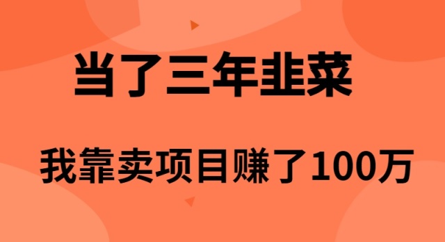 （10149期）当了3年韭菜，我靠卖项目赚了100万_免费分享网络创业,副业,信息差项目的老牌资源整合平台！金铲子项目