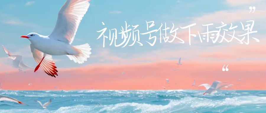 视频号做下雨视频，一个账号一周涨粉，附保姆级教程_免费分享网络创业,副业,信息差项目的老牌资源整合平台！金铲子项目