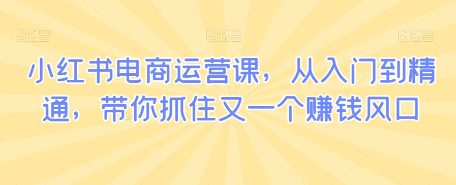 小红书电商运营课，从入门到精通，带你抓住又一个赚钱风口_免费分享网络创业,副业,信息差项目的老牌资源整合平台！金铲子项目