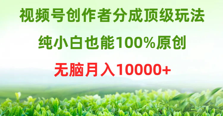 (9608期)视频号创作者分成顶级玩法,纯小白也能100%原创,无脑0_免费分享网络创业,副业,信息差项目的老牌资源整合平台!金铲子项目
