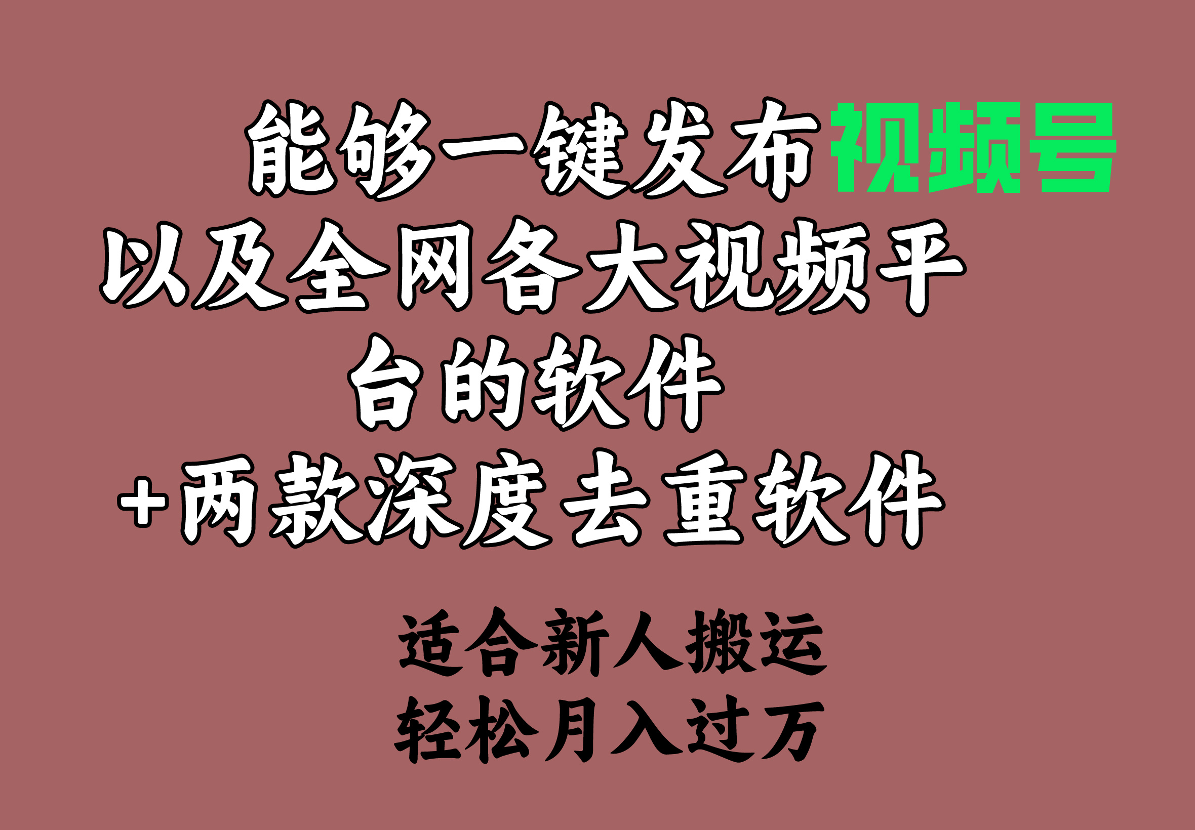 （9319期）能够一键发布视频号以及全网各大视频平台的软件两款深度去重软件适合…_免费分享网络创业,副业,信息差项目的老牌资源整合平台！金铲子项目