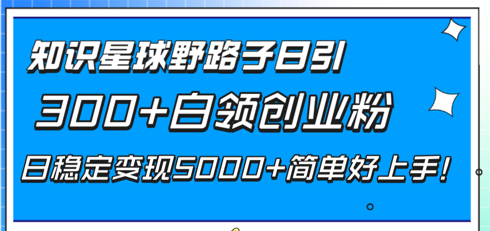 （8315期）知识星球野路子日引白领创业粉，日稳定5000简单好上手_免费分享网络创业,副业,信息差项目的老牌资源整合平台！金铲子项目