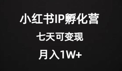价值的小红书IP孵化营项目，超级大蓝海，七天即可开始，稳定_免费分享网络创业,副业,信息差项目的老牌资源整合平台！金铲子项目
