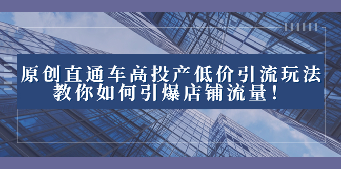 （8197期）2023直通车高投产低价引流玩法，教你如何引爆店铺流量_免费分享网络创业,副业,信息差项目的老牌资源整合平台！金铲子项目