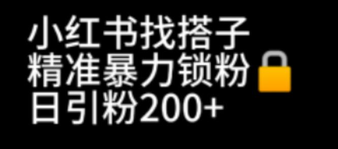 （6807期）小红书找搭子暴力精准锁粉引流日引精准粉_免费分享网络创业,副业,信息差项目的老牌资源整合平台！金铲子项目