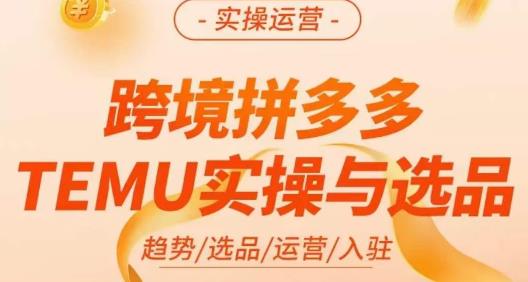 伍跃·跨境拼多多TEMU实操与选品，​趋势/选品/运营/入住（27节完整）_免费分享网络创业,副业,信息差项目的老牌资源整合平台！金铲子项目