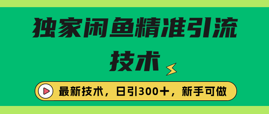 （6635期）独家闲鱼引流技术，日引实战玩法_免费分享网络创业,副业,信息差项目的老牌资源整合平台！金铲子项目