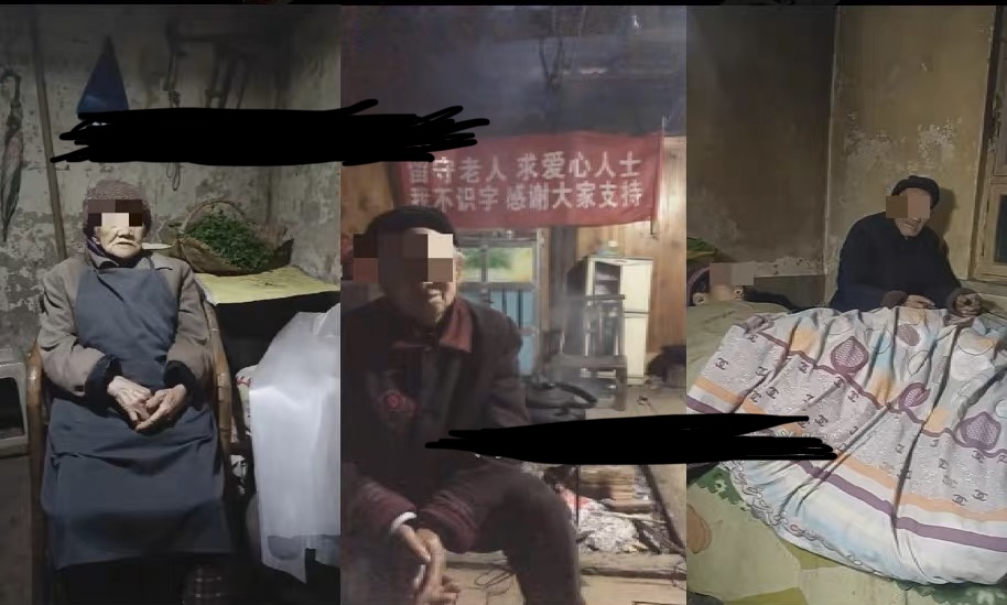 （6597期）老人直播卖惨撸音浪无人挂机项目【开播教程老人素材】仅揭秘_免费分享网络创业,副业,信息差项目的老牌资源整合平台！金铲子项目