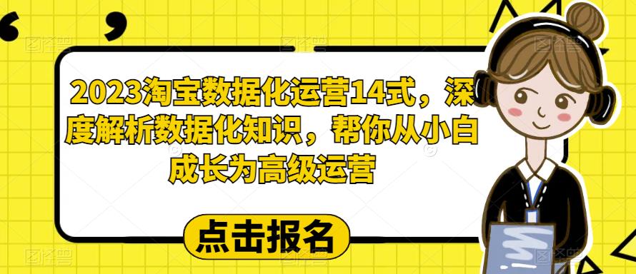 2023淘宝数据化运营14式，深度解析数据化知识，帮你从小白成长为高级运营_免费分享网络创业,副业,信息差项目的老牌资源整合平台！金铲子项目
