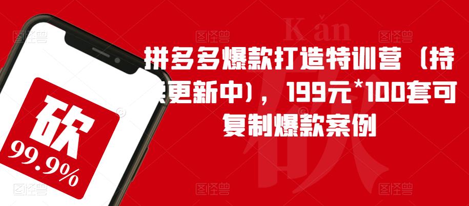 拼多多爆款打造特训营（持续更新中)，199元*100套可复制爆款案例_免费分享网络创业,副业,信息差项目的老牌资源整合平台！金铲子项目
