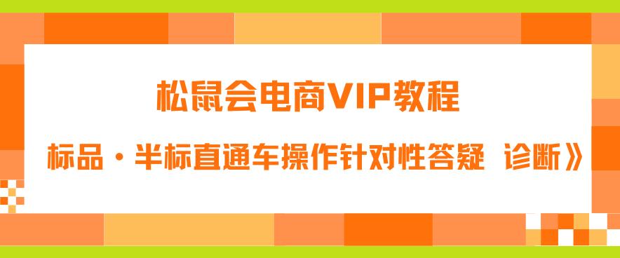 松鼠会电商VIP教程：松鼠《付费推广标品·半标直通车操作针对性答疑&诊断》_免费分享网络创业,副业,信息差项目的老牌资源整合平台！金铲子项目