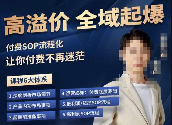 逸风-拼多多高溢价全域起爆，6大课程体系，付费玩法全套实操_免费分享网络创业,副业,信息差项目的老牌资源整合平台！金铲子项目