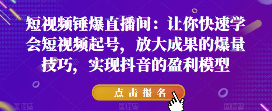 短视频锤爆直播间：让你快速学会短视频起号，放大成果的爆量技巧，实现抖音的盈利模型_免费分享网络创业,副业,信息差项目的老牌资源整合平台！金铲子项目