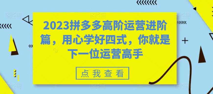 2023拼多多高阶运营进阶篇，用心学好四式，你就是下一位运营高手_免费分享网络创业,副业,信息差项目的老牌资源整合平台！金铲子项目